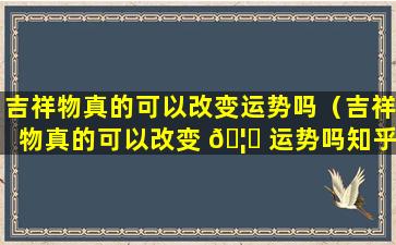 吉祥物真的可以改变运势吗（吉祥物真的可以改变 🦟 运势吗知乎）